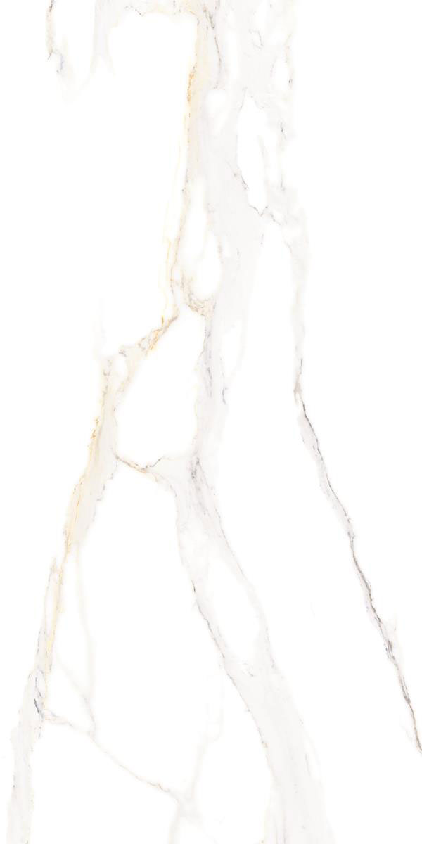 RIGHTO WHITE F1